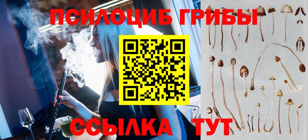 купить   Галлюциногенные грибы Magic Shrooms  Вход с VPN  Родники 